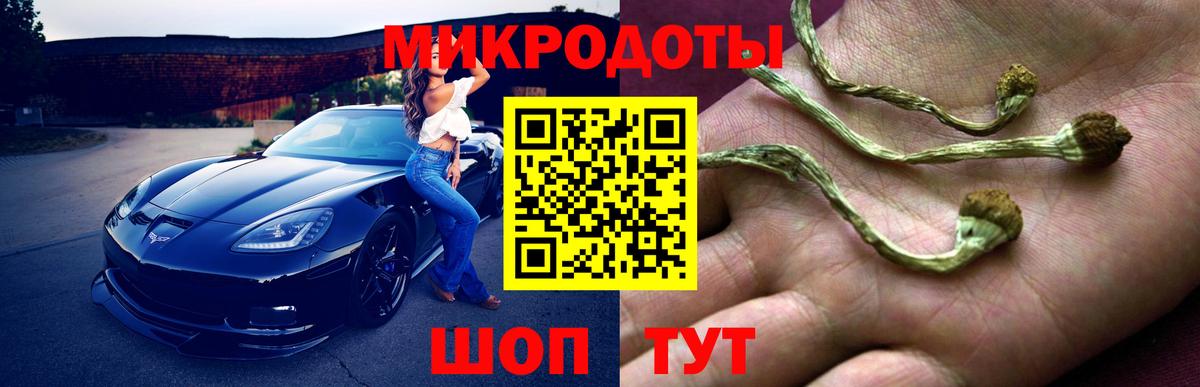 Сосновый Бор  Галлюциногенные грибы Cubensis  Вход с VPN 